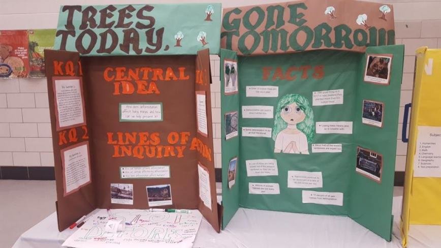 Sunset Elementary Solves Real World Problems With PYP Exhibition Pasadena Sunset Elementary Solves Real World Problems With PYP Exhibition Pasadena